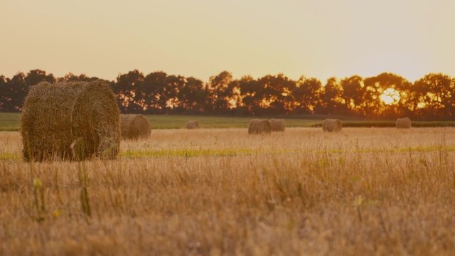 Rick of straw in the field