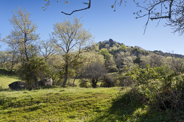 Cerro de San Juan. Ávila