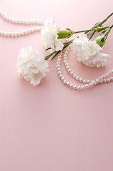 カーネーション