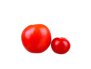 tomatoes on a white background