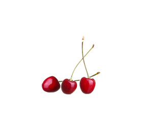 cherry berries isolated on white background cutou
