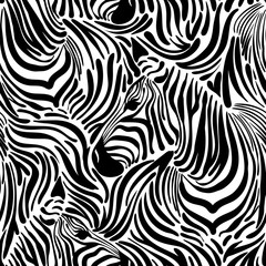 Print zebra - obrazy, fototapety, plakaty