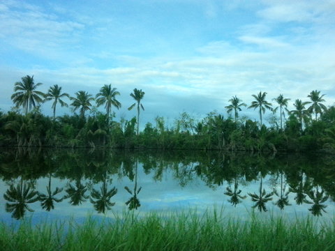Reflection