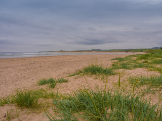 Alnmouth Beach, Alnmouth, Northumberland, UK