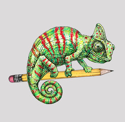Vector illustration: red green chameleon on yellow pencil