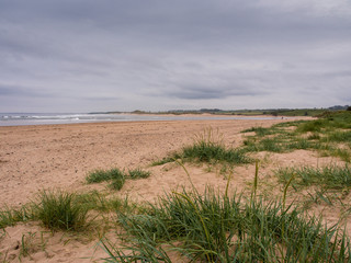 Alnmouth Beach, Alnmouth, Northumberland, UK