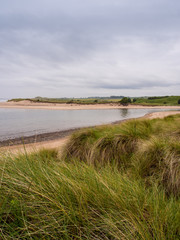 Alnmouth Beach, Alnmouth, Northumberland, UK
