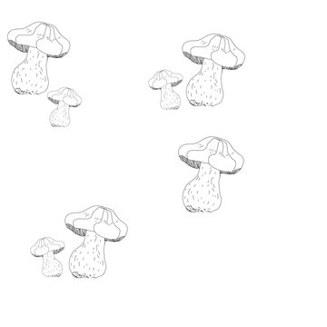 Mushrooms on a white background. Seamless.