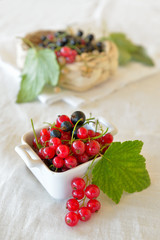 currant