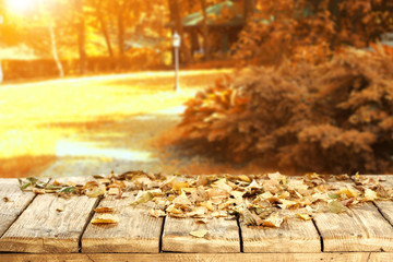 autumn background 