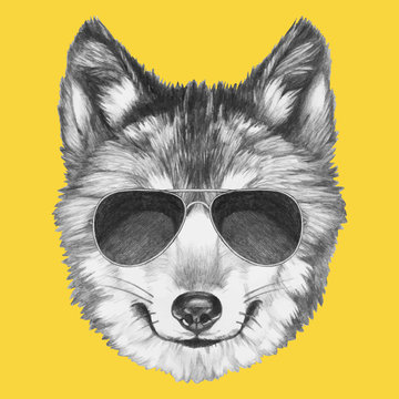 Portrait of Wolf with sunglasses. Vector isolated elements.