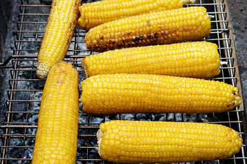 Grilled corn