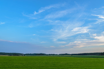 beautiful blue sky green field
