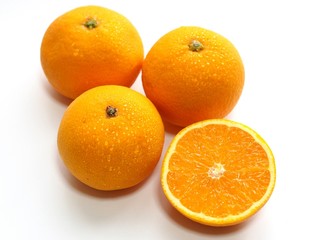 清見オレンジ