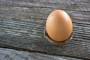 Egg in nest on wooden background