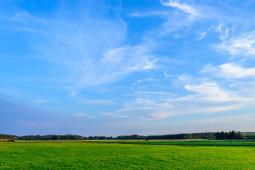 beautiful blue sky green field