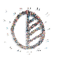 people form  leaf  wood