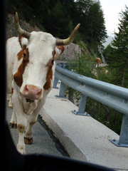 Auf der Straße in den julischen Alpen