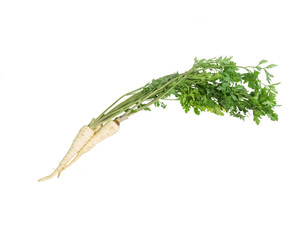 Parsley root with greens isolated on a white background