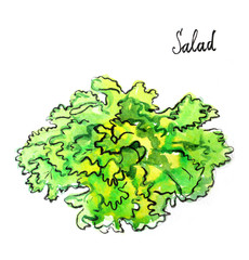 Watercolor salad