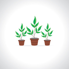 many small plant vector illustration 
