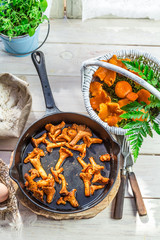 Homemade wild mushrooms with tomatoes and parsley
