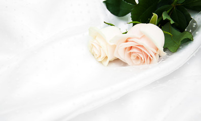 roses on white silk background