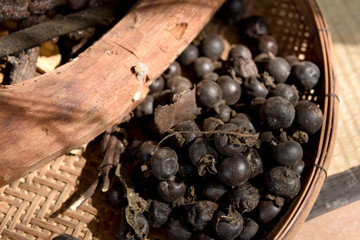 Diospyros mollis Griff., fruit.