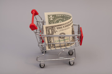 Shopping cart with one dollars on gray background