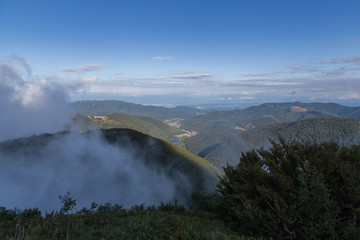 paysage des Vosges