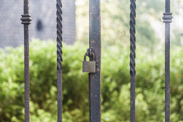 Padlock closes a garden gate