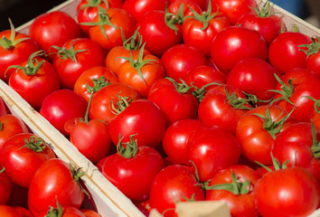 Fresh Tomatoes in crate at the Market