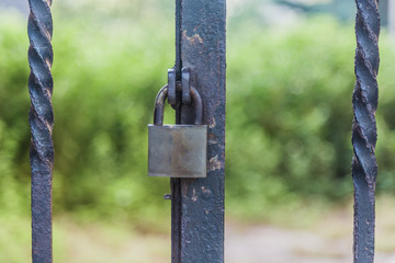 Padlock closes a garden gate