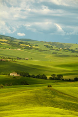 Obraz premium Green Tuscany hills