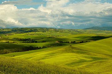 Green Tuscany hills