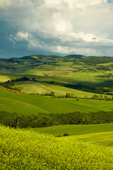 Fototapeta na wymiar Green Tuscany hills