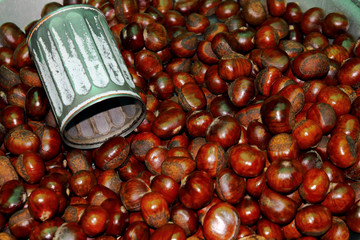 Roast chestnuts
