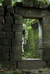 Ancient Ruins in a deep forest