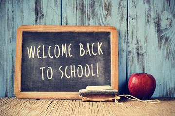 text welcome back to school written on a chalkboard, cross proce