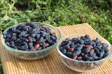 The honeysuckle berries lying in a glass plates on a table in a garden
