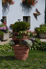 Fototapeta na wymiar vaso di fiori giardino estate giardinaggio decorazione
