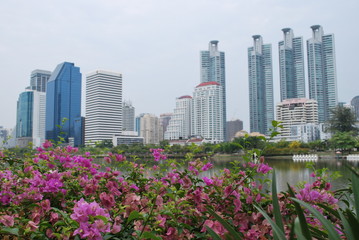 Naklejka premium Lake garden