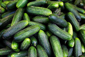 fresh vegetables