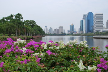 Fototapeta premium Lake garden