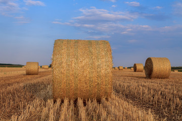 Hay bale at sunset