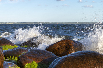 Ocean © Peter Bystrom