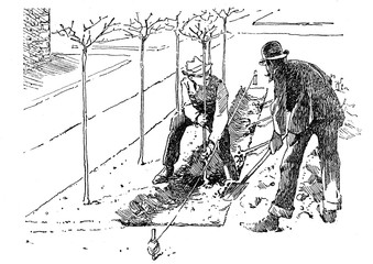 Agricolture engraving - planting trees in soil tracks