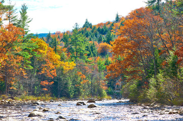 Swift River at autumn