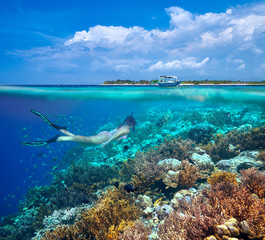 A woman snorkeling near the beautiful coral reef. © soft_light