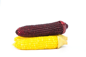 Steamed yellow and purple corn on white
